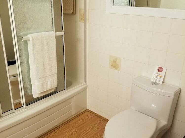 Номер Стандарт Двуспальная Кровать, Bee 'n Bee Bed N' Breakfast