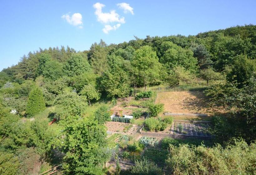 Номер Стандарт, Pension Burk