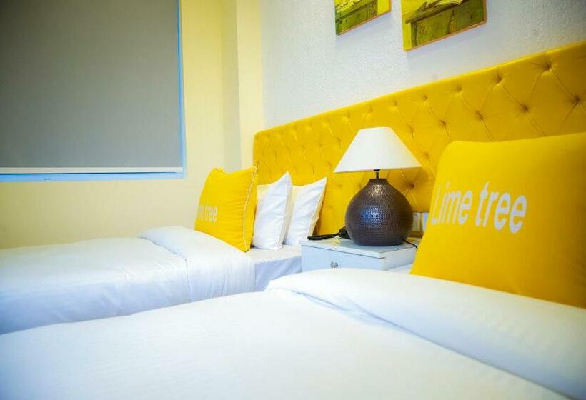 Студио Стандарт с Балконом, Lime Tree Luxury Studio   Service Apartment Near Artemis Hospital ,gurgaon