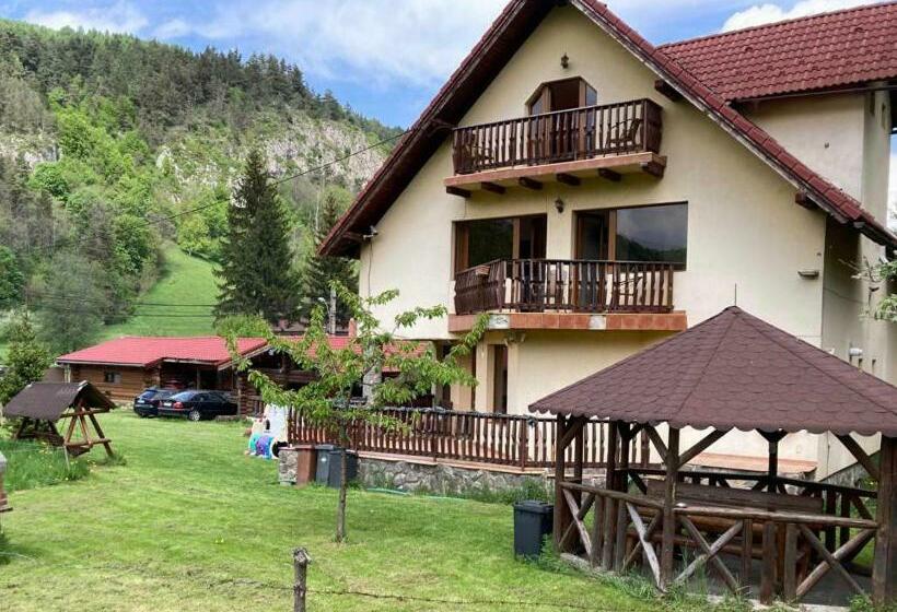 Вилла 1 Спальня, Vila Ianis Bran