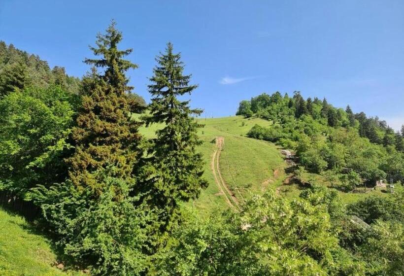 اتاق استاندارد, Holiday Borjomi