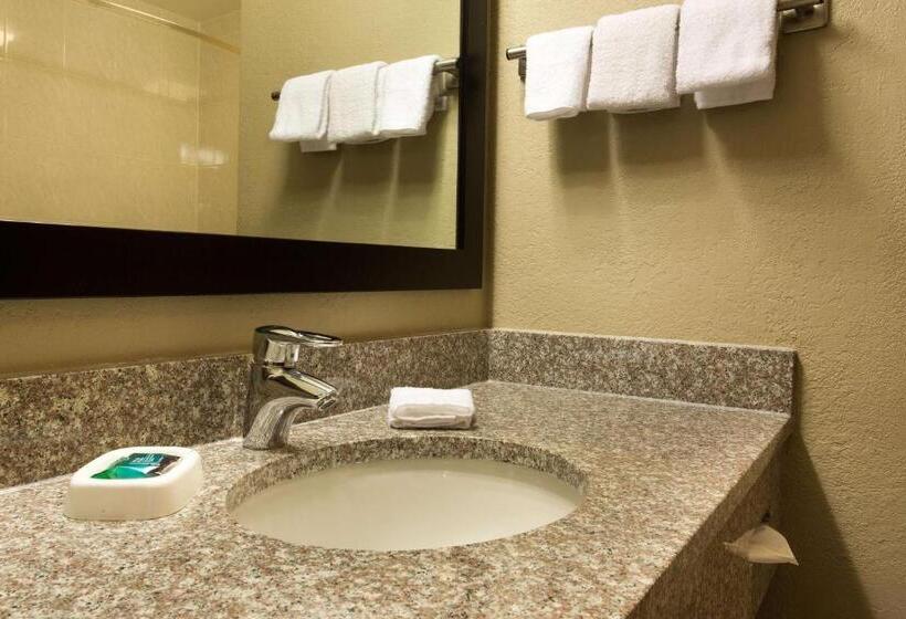 带大床的套房, Drury Inn & Suites Cincinnati Sharonville