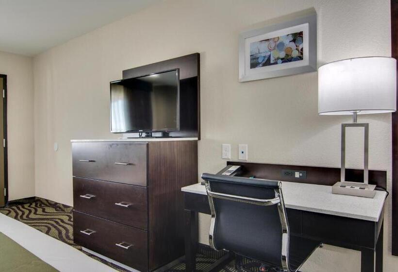 Номер Стандарт 2 Двуспальные Кровати, Quality Inn & Suites Athens University Area