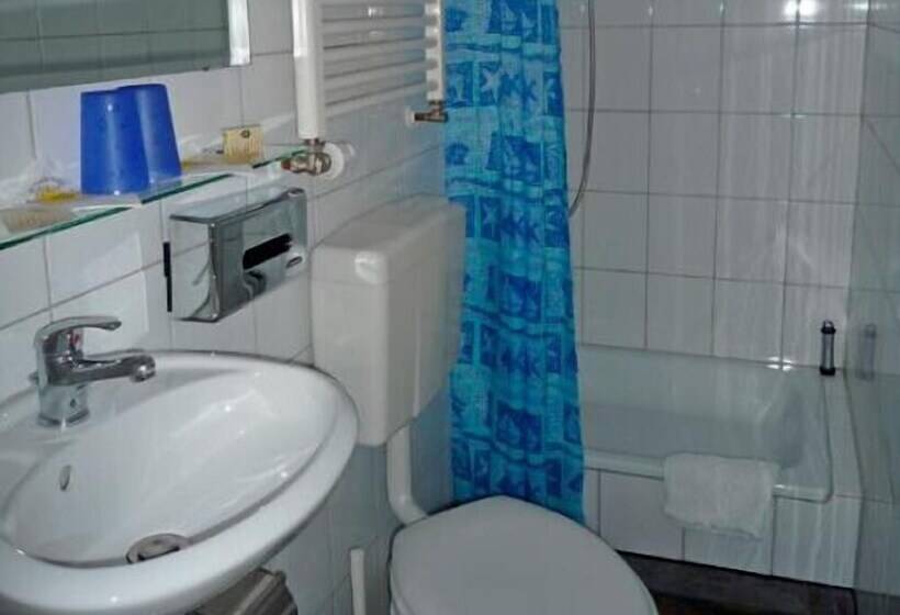 标准单人间, Alpha Hotel Garni