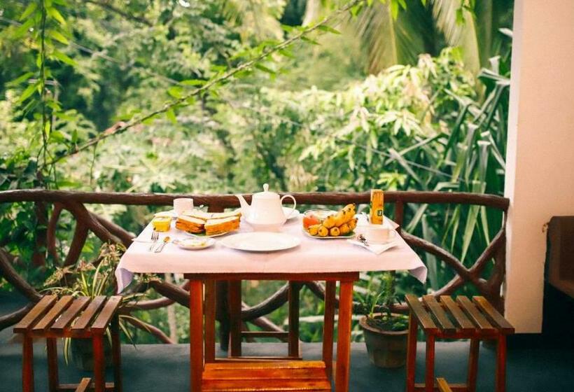Номер Стандарт Вид на Сад, Aloe Vera Guest House
