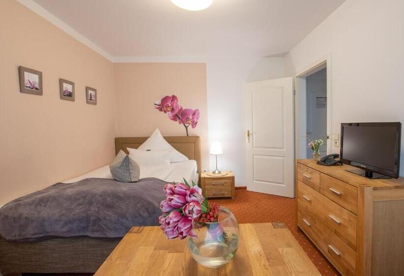 스탠다드 싱글 룸, Seehotel Lindenhof