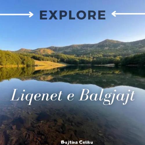 Номер Стандарт Вид на Сад, Bujtina Celiku