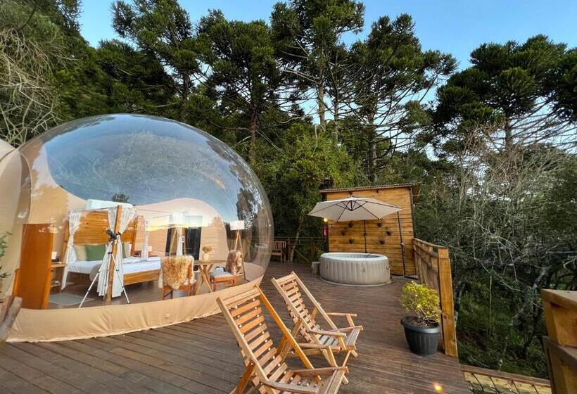 Люкс Кровать Кинг, Zion Bubble Glamping