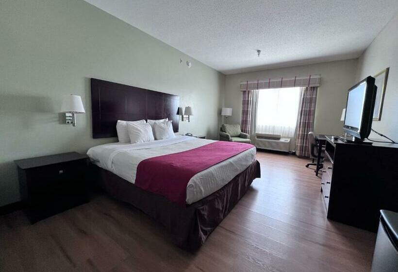 스탠다드 룸 킹사이즈 침대, Americas Best Value Inn Wiggins