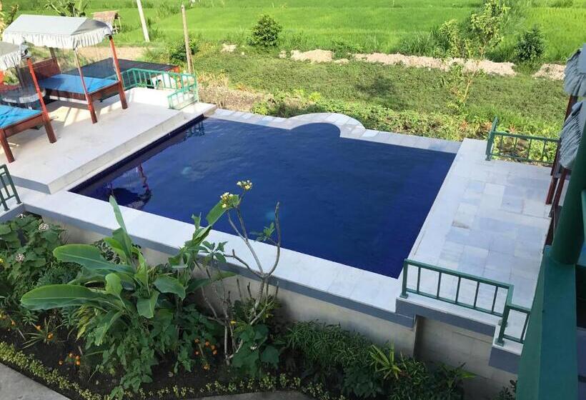 Номер Стандарт Вид на Сад, Gumibali Villa