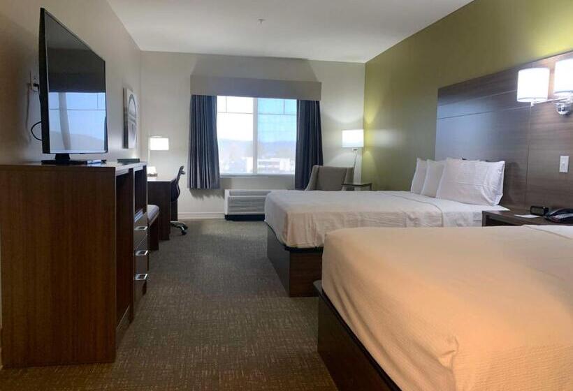 Номер Стандарт Адаптированный для Инвалидов, Best Western Plus Horseheads Inn & Suites