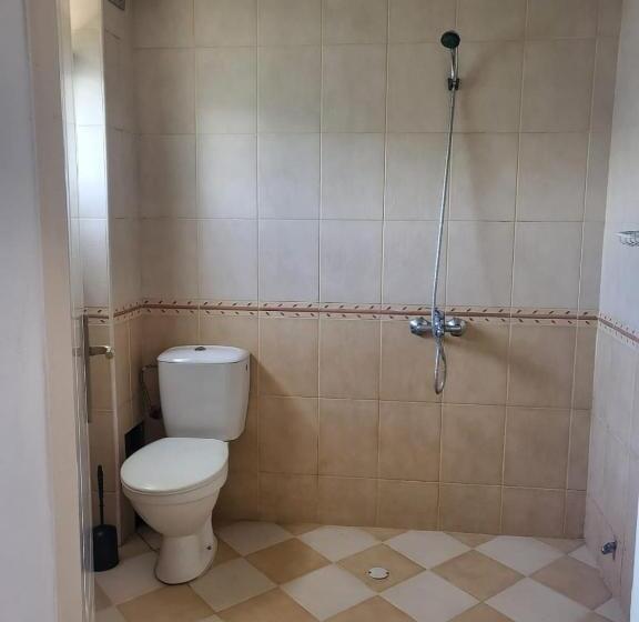Четырехместный Номер Стандарт, Guest House Plamena