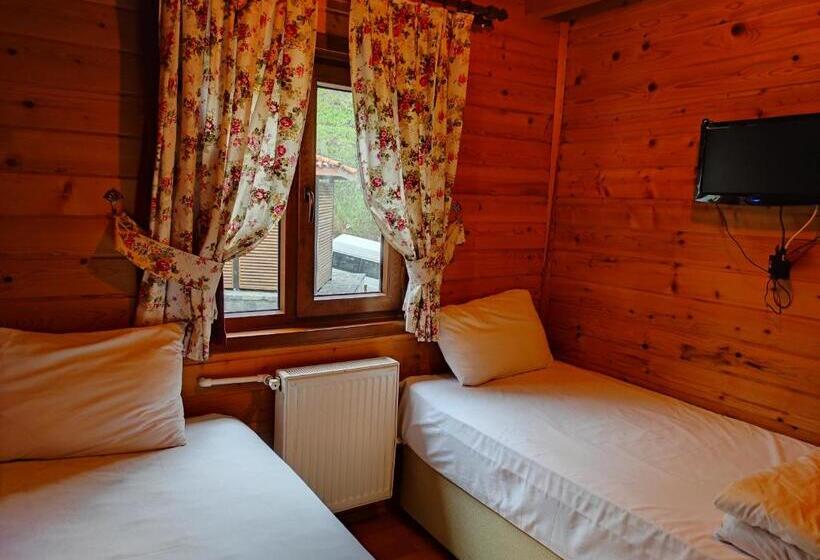 اتاق استاندارد با چشم‌انداز, Ayder Paradise Otel