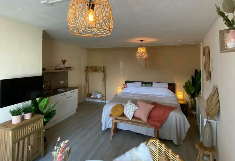 اتاق استاندارد با تراس, Bed En Koffie Casa Mañana De Koog