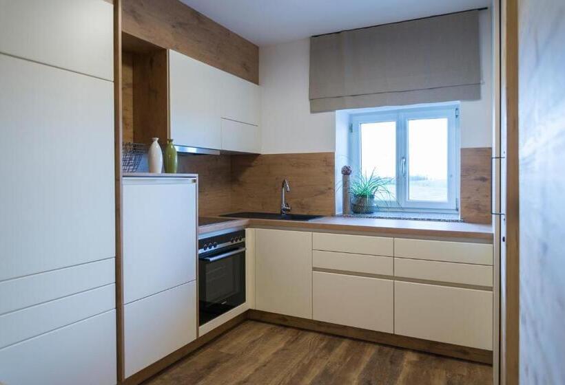 Апартаменты Дюплекс 1 Спальня, ölerhof