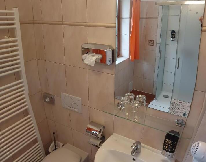 اتاق کلاس بیزنس, Penzion Nad Oborou