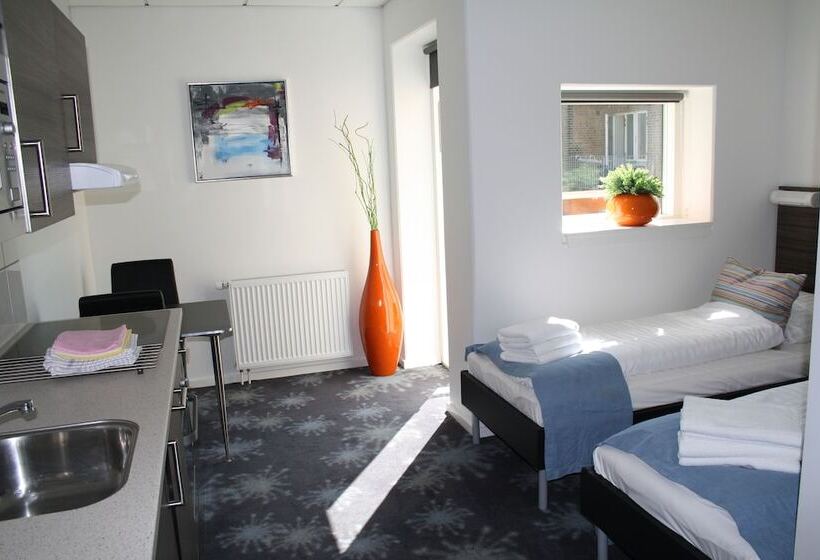 Studio Standard cu Vedere la Balcon, Aparthotel Faber
