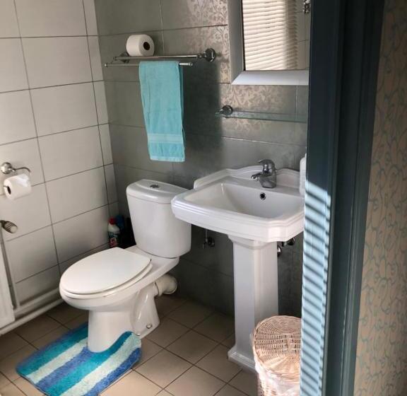 Четырехместный Номер Deluxe, Guesthouse De Witte Merel Deluxe