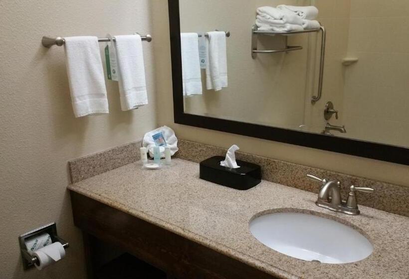 Стандартный Номер Кровать Кинг, Comfort Inn & Suites Lakeside