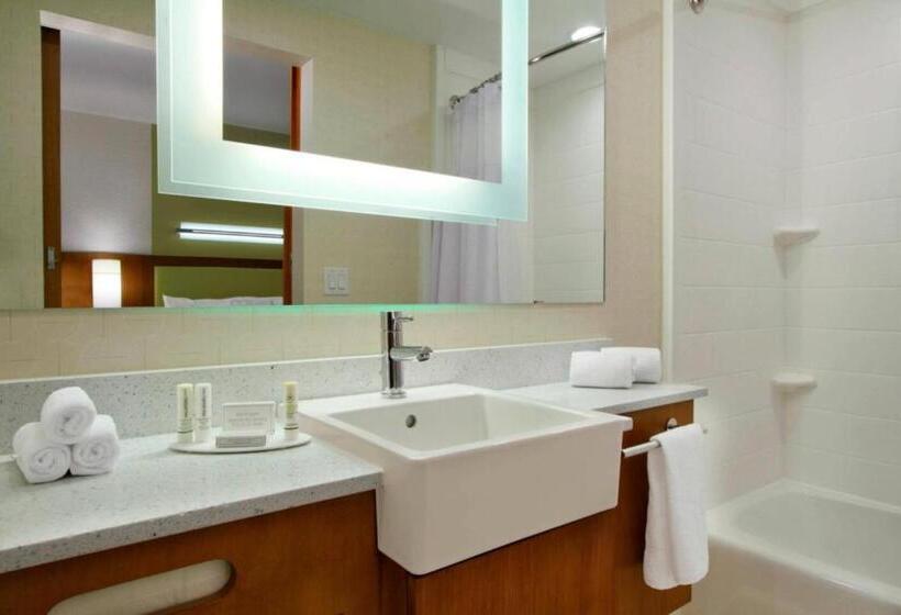 סטודיו סטנדרט, מיטה זוגית, Springhill Suites By Marriott Houston I 45 North