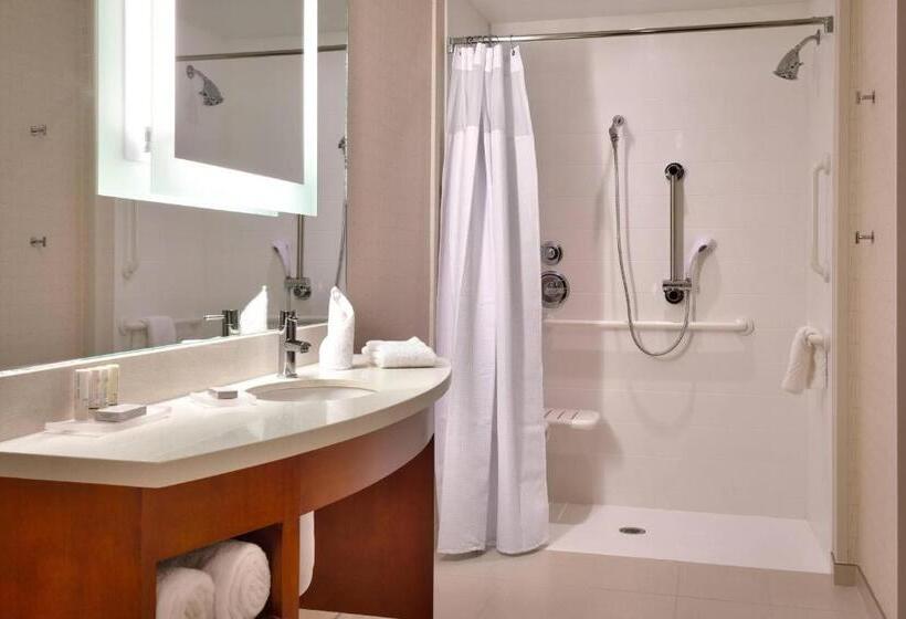 חדר סטודיו סטנדרד, Springhill Suites By Marriott Houston I 45 North