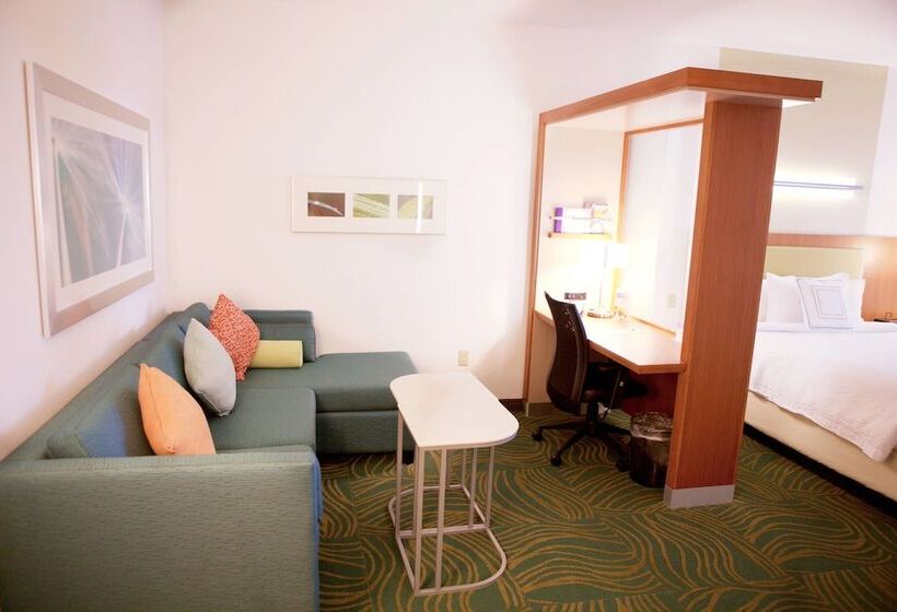 Люкс, Springhill Suites By Marriott Wichita Airport