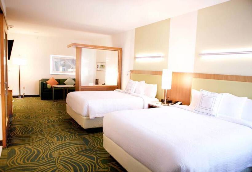 Люкс, Springhill Suites By Marriott Wichita Airport