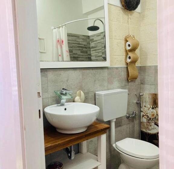 Номер Стандарт, B&b Shardana