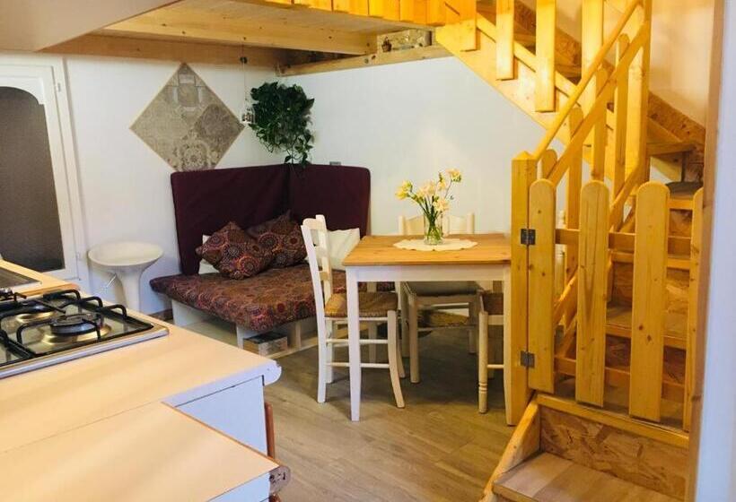 Студия Стандарт, B&b Shardana