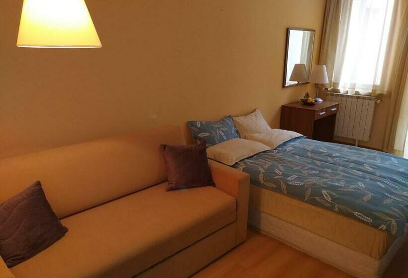Estudio Estándar con Balcón, Studio Villa Park 207