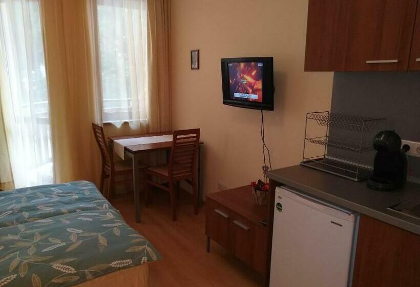 Estudio Estándar con Balcón, Studio Villa Park 207