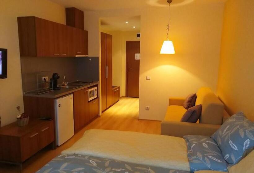 Estudio Estándar con Balcón, Studio Villa Park 207
