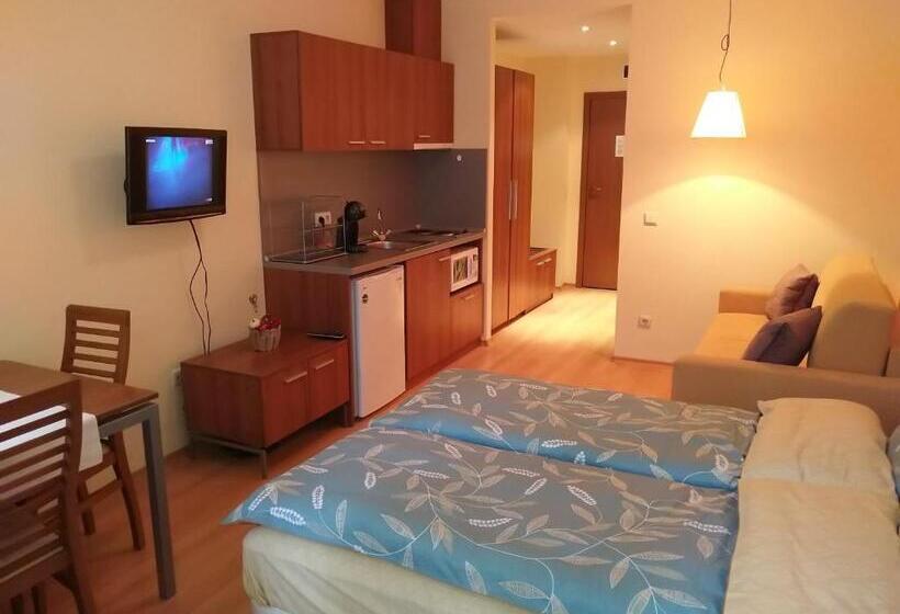 Estudio Estándar con Balcón, Studio Villa Park 207