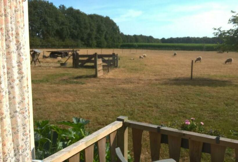 Номер Deluxe Вид на Сад, Pipowagen Lidewei Groningen Westerwolde Unieke Ligging Met Eigen Tuin En Vrij Uitzicht Over Veld Naa