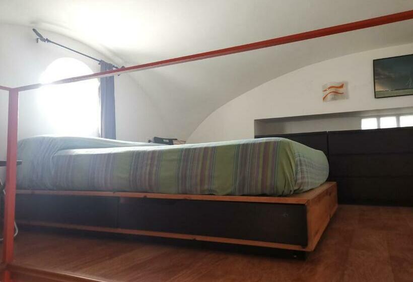 استودیوی سوپریور, B&b Adele