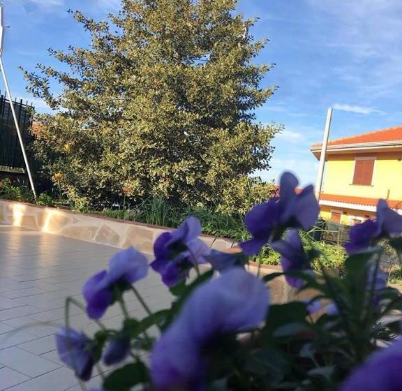 标准间, L Agrifoglio Dell Etna