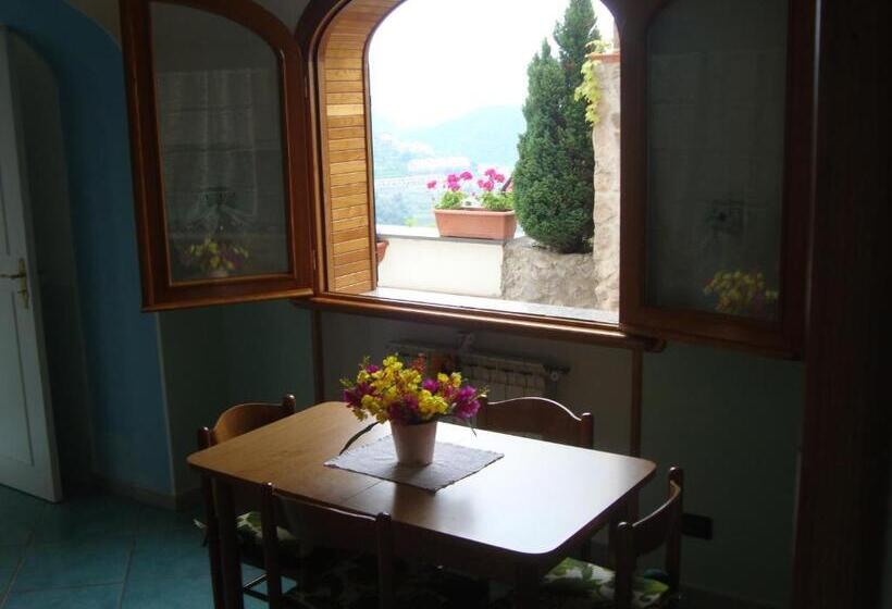 Студия Стандарт, B&b Oliva