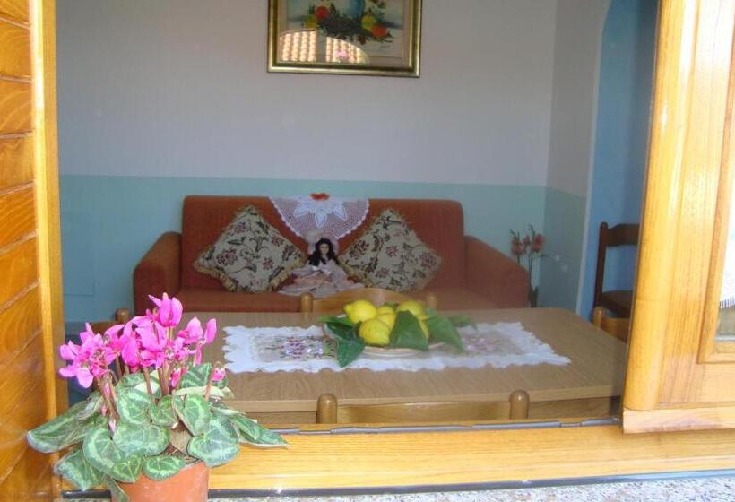 Студия Стандарт, B&b Oliva
