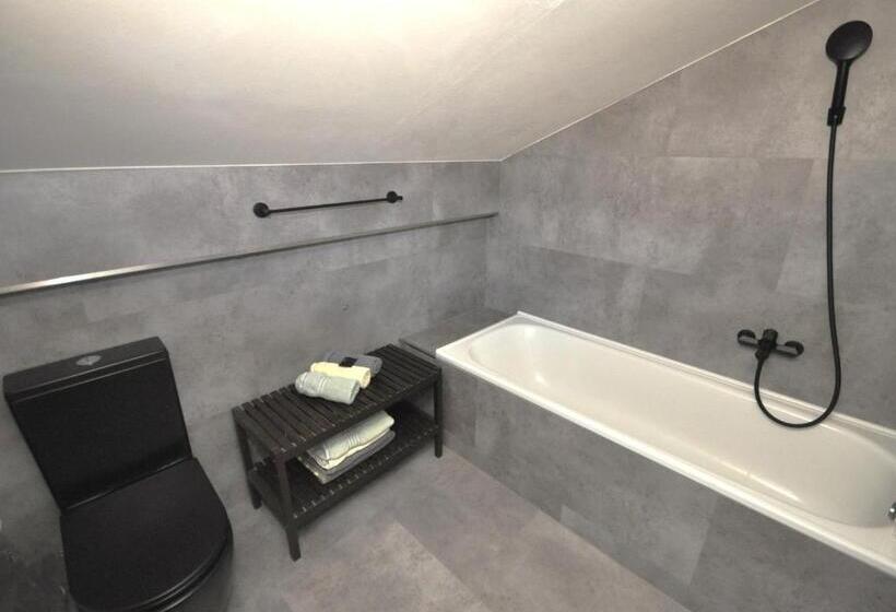 Апартаменты Deluxe 1 Спальня, Wellness Pension Fulda černý Důl