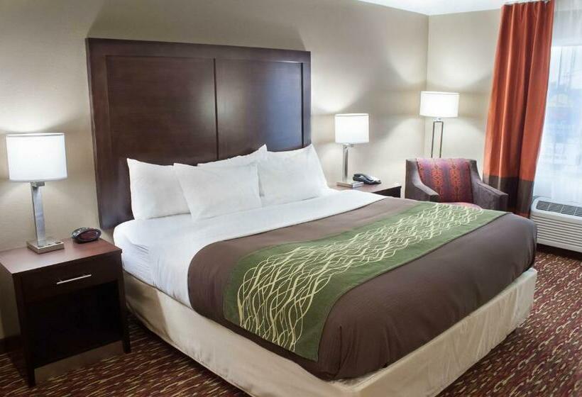 キングサイズベッドのスタンダードルーム, Comfort Inn & Suites Artesia