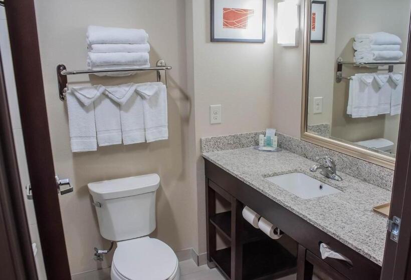 Люкс Кровать Кинг, Comfort Inn & Suites Artesia