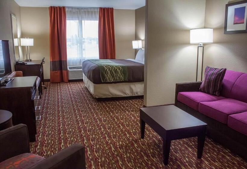 Люкс Кровать Кинг, Comfort Inn & Suites Artesia