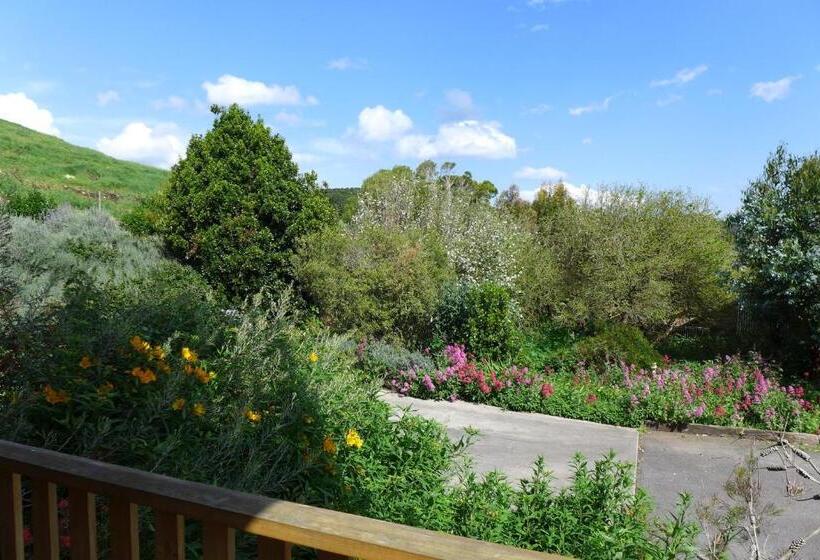 套房带园景, Daysy Hill Country Cottages