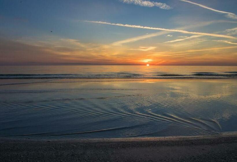 דירת שני חדרים, Beach View 5