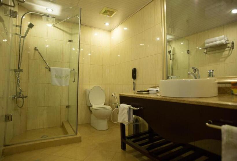 اتاق استاندارد یک نفره, Jupiter International Hotel   Bole