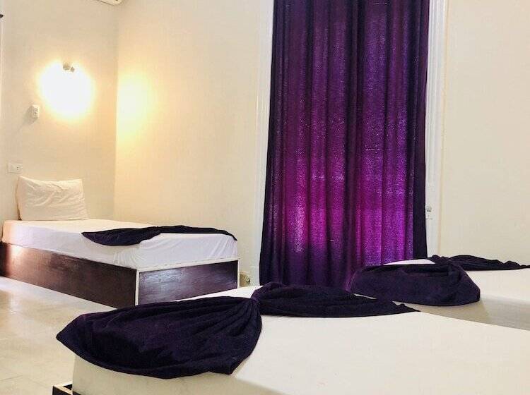 اتاق لوکس سه تخته, Mesho Inn Hostel