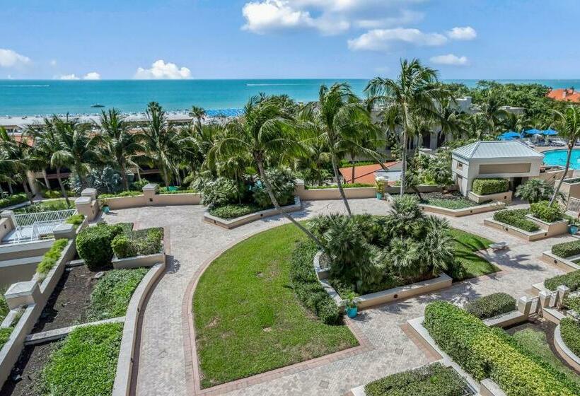 Апартаменты 1 Спальня, Marco Beach Ocean Resort 807