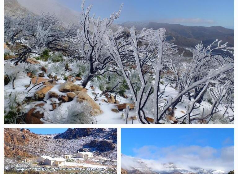 스탠다드 룸, Aloe Valley Retreat