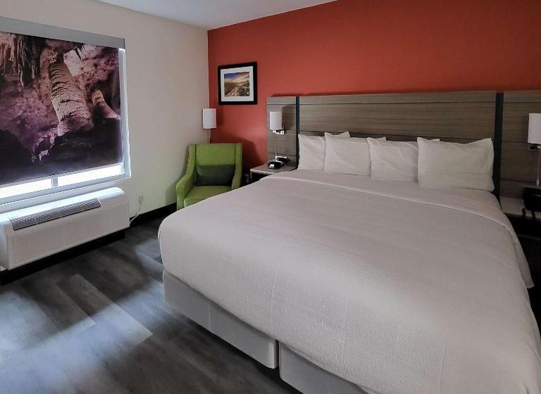 适合残疾人士使用的带超级大床的标准间, Best Western Plus Executive Residency Carlsbad