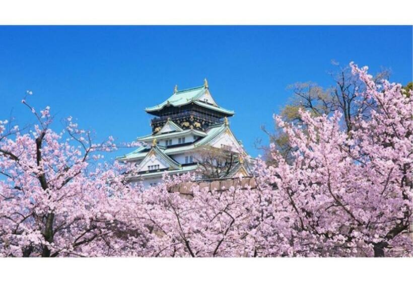 标准工作室, Eins,inn Umeda Higashi  Vacation Stay 29915v